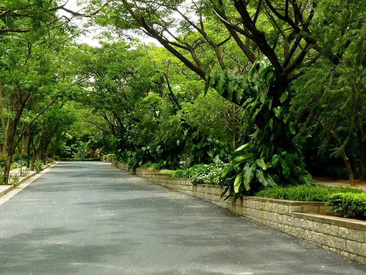 IIMB Campus.jpg